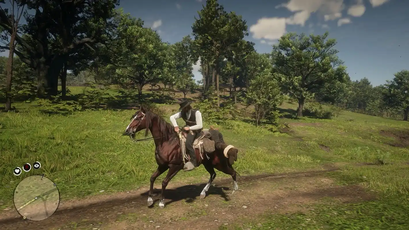 荒野大镖客2/Red Dead Redemption 2